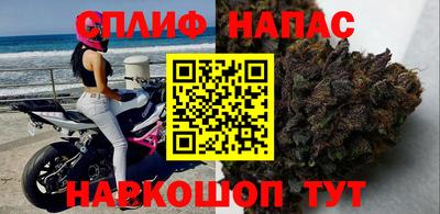 бошки Гусев