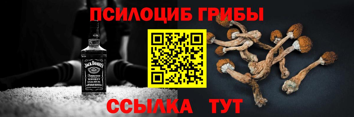 Псилоцибиновые грибы мухоморы Малгобек